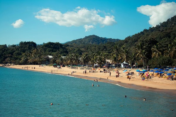 Discover avignon's vibrant culture through french language immersion