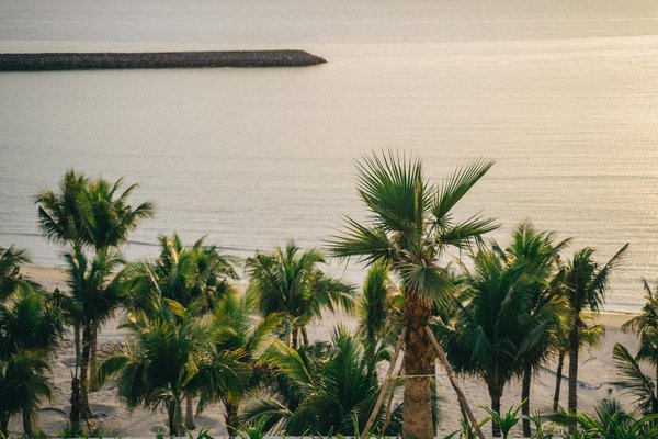 Discover the Top UK Coastal Towns for Unforgettable Whale Watching Experiences